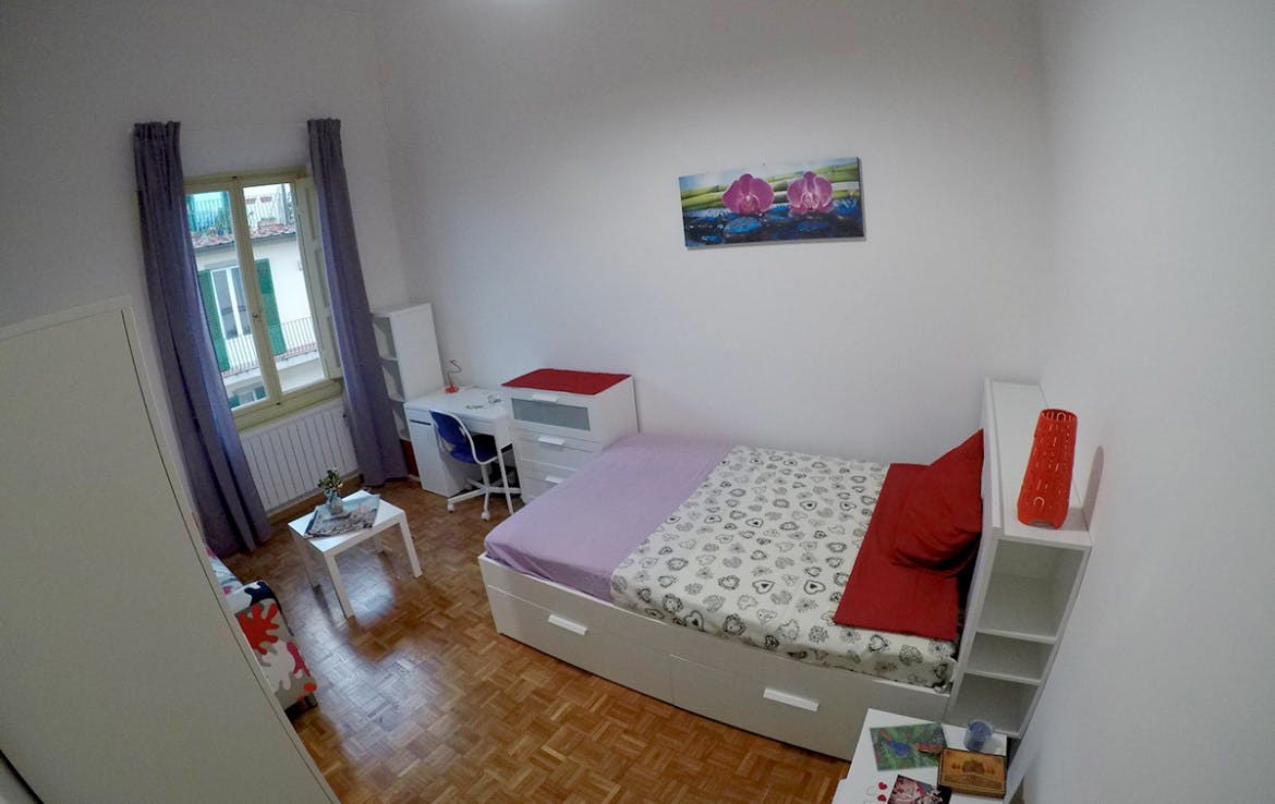 Via Montebello, Florence preview