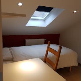 Private room for rent for €650 per month in Saint-Josse-ten-Noode, Rue Saint-Alphonse