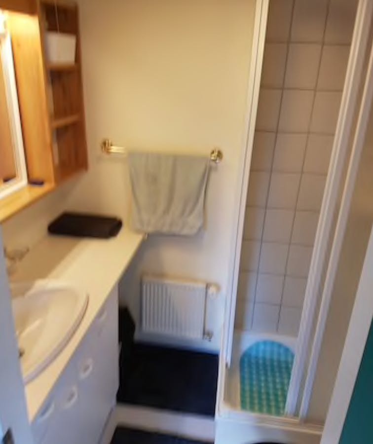 Apartment Reykjavík, 1 bed — photo 9