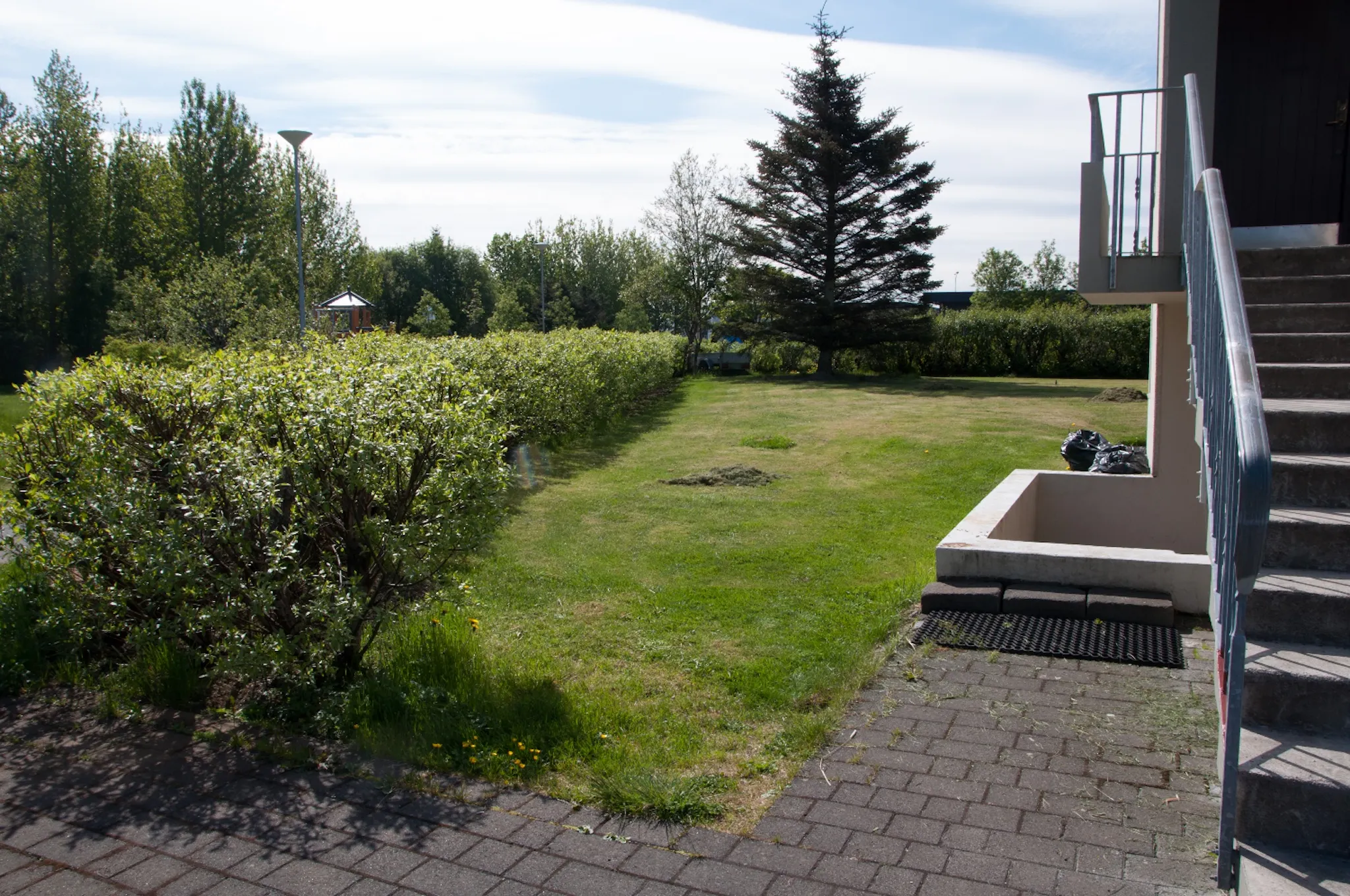 Image #7