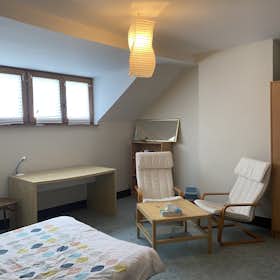 Private room for rent for €700 per month in Saint-Gilles, Rue Vanderschrick
