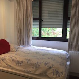 WG-Zimmer for rent for 400 € per month in Donostia / San Sebastián, Isidro Ansorena kalea