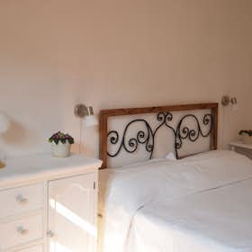Private room for rent for €1,180 per month in Florence, Via dei Pepi