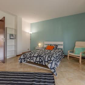 Private room for rent for €590 per month in Pisa, Via Enrico Avanzi