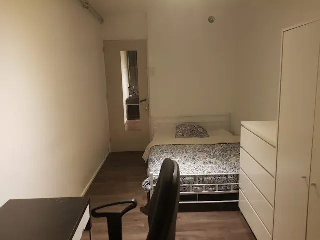 Private room in Loderstraat, Rotterdam (896256) room image 1