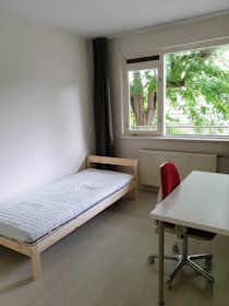 Private room for rent for €650 per month in Rotterdam, Platostraat