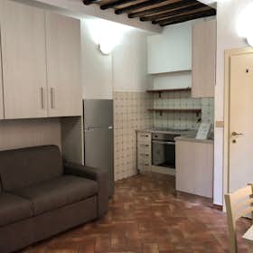Studio for rent for €550 per month in Siena, Via del Pignattello