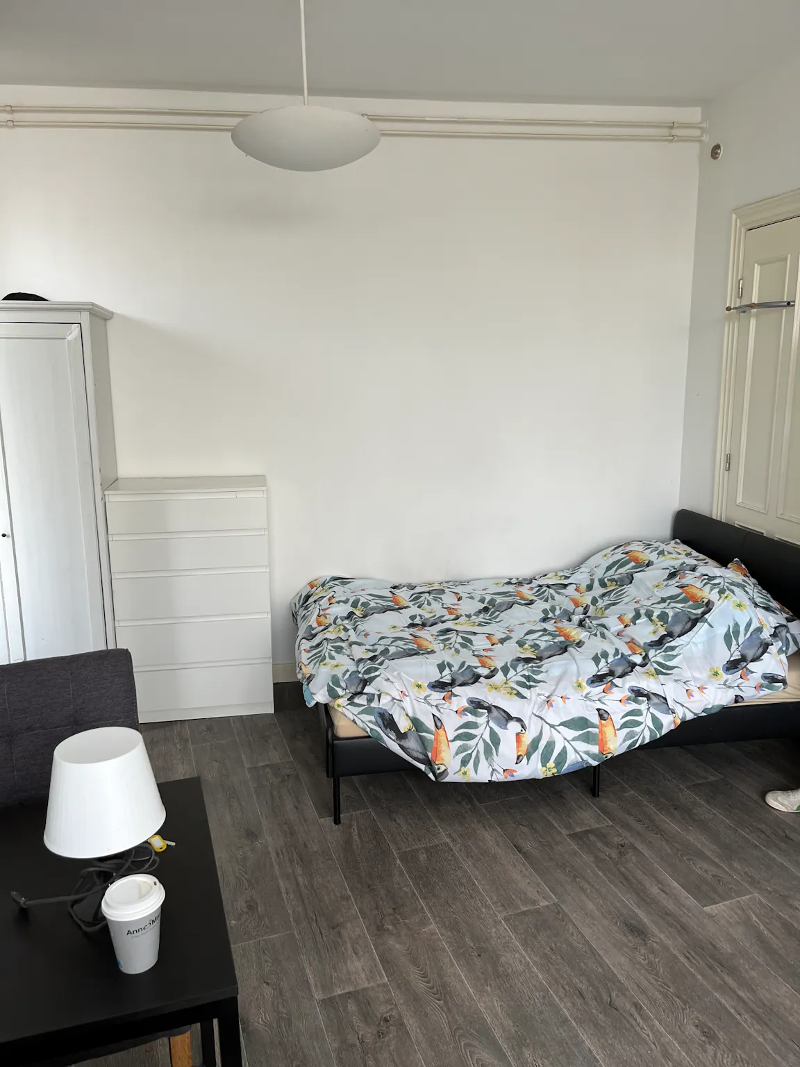 Private room in Henegouwerlaan, Rotterdam (911511) ROOM 2