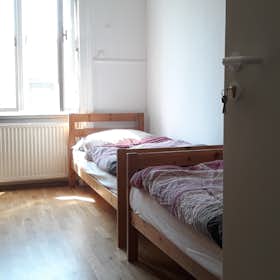 Shared room for rent for HUF 111,815 per month in Budapest, Szent István körút