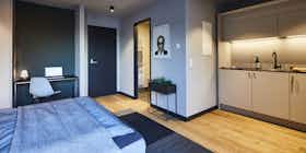 单间公寓 正在以 €1,190 的月租出租，其位于 Wolfsburg, Amtsstraße