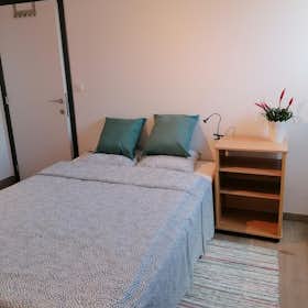 WG-Zimmer for rent for 710 € per month in Watermael-Boitsfort, Rue des Brebis