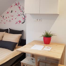 单间公寓 正在以 €790 的月租出租，其位于 Ljubljana, Ilirska ulica