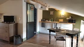 单间公寓 正在以 €750 的月租出租，其位于 Villefranche-de-Lauragais, Rue de la République