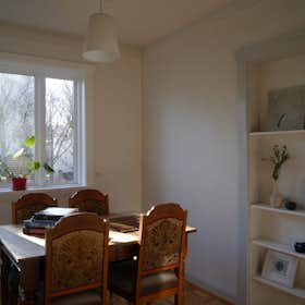 私人房间 正在以 ISK 123,845 的月租出租，其位于 Reykjavík, Öldugata