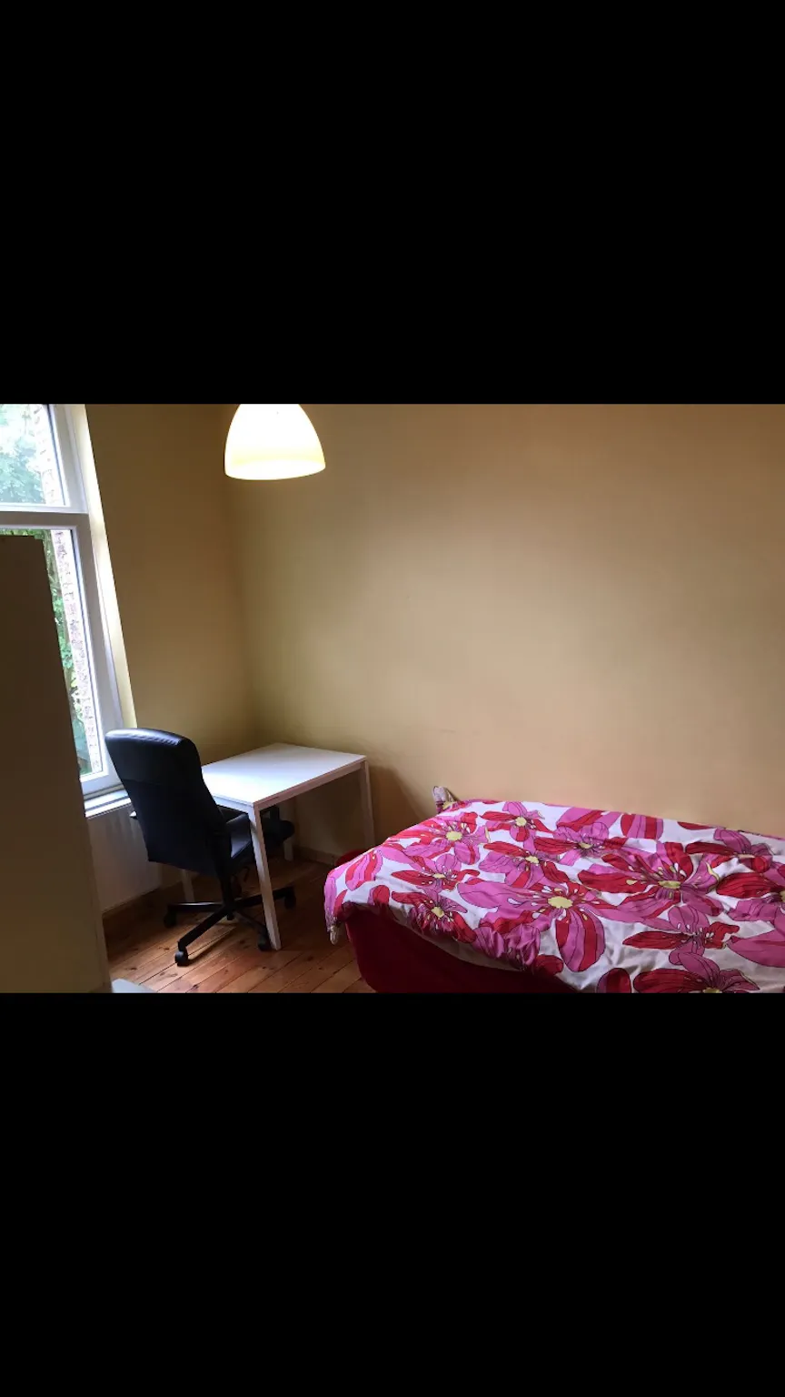 Rue Émile Banning, Ixelles preview