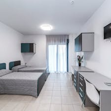 Shared room for rent for €480 per month in Turin, Piazza Pietro Francesco Guala