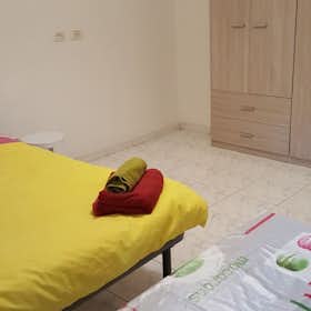 Chambre privée for rent for 450 € per month in Piacenza, Viale dei Patrioti