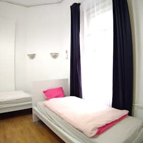 Shared room for rent for HUF 111,815 per month in Budapest, Falk Miksa utca