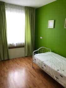 Private room for rent for €900 per month in The Hague, Van der Woudendijk