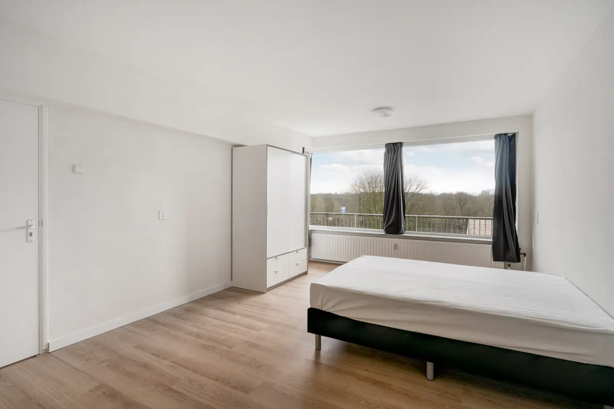 Private room in Adriaan Dortsmanstraat, Rotterdam (952809) ROOM