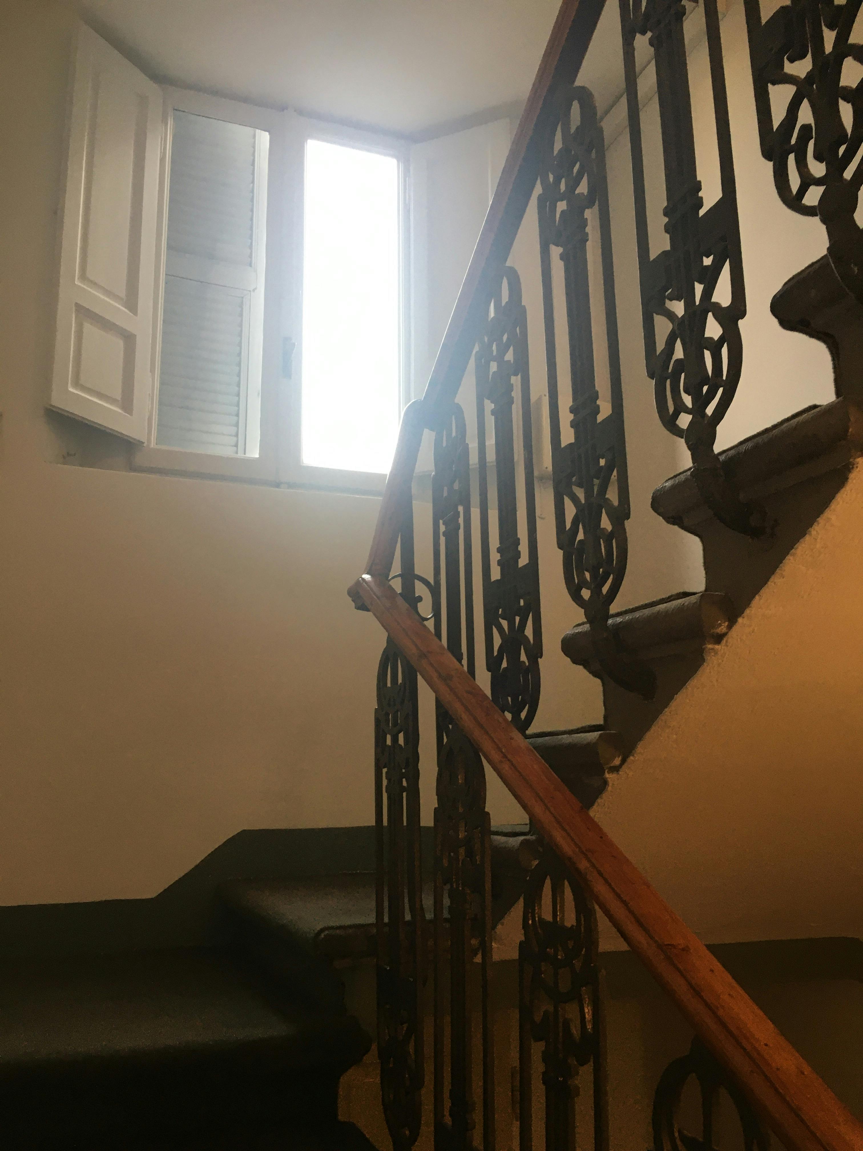 Camera singola Firenze — foto 15