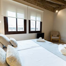 Studio for rent for €1,675 per month in Barcelona, Carrer de la Duana