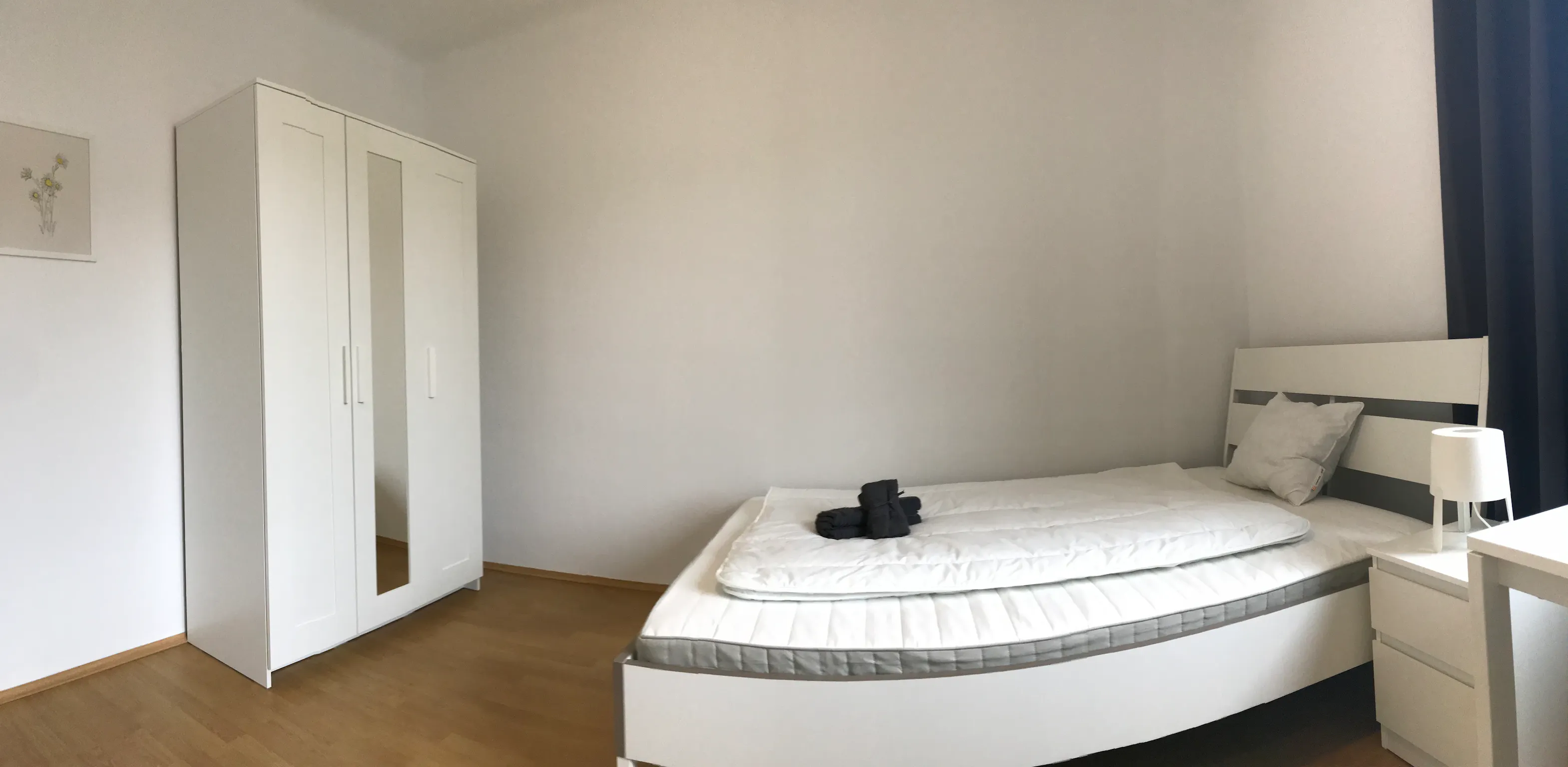 Private room in Juchgasse, Vienna (964761) ROOM 4