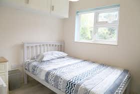 Отдельная комната сдается в аренду за 1 180 € в месяц в Dublin, Royal Canal Terrace
