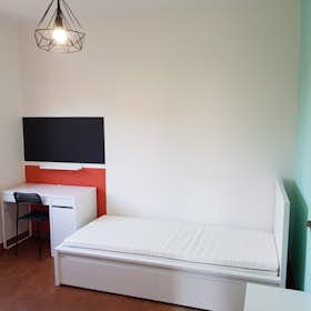 Private room for rent for €520 per month in Pisa, Piazza Giuseppe Toniolo