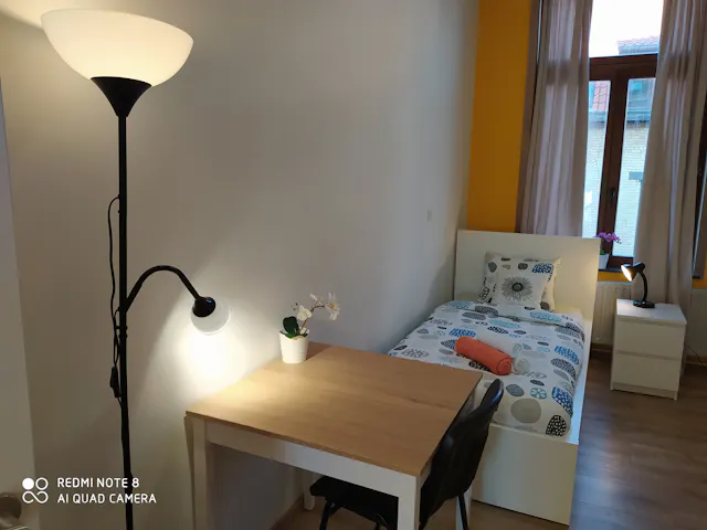 Private room in Rue des Deux Tours, Saint-Josse-ten-Noode (981717) room image 56