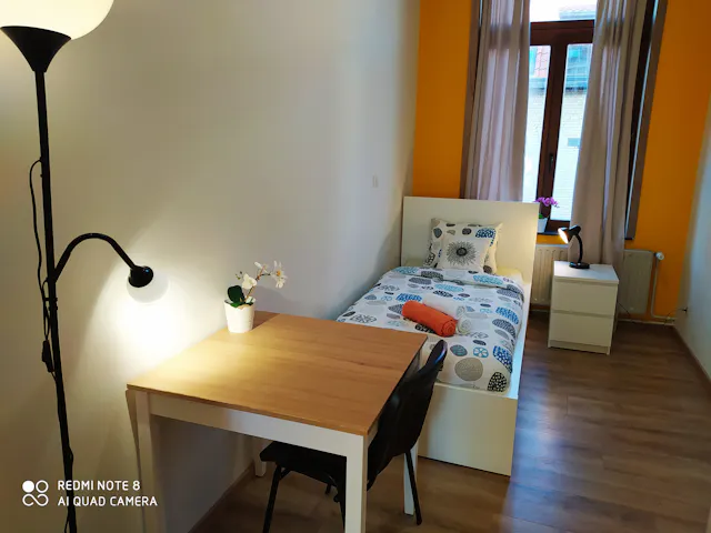 Private room in Rue des Deux Tours, Saint-Josse-ten-Noode (981720) room image 1