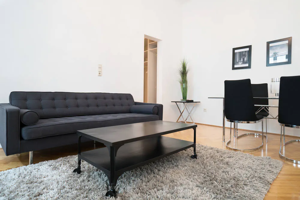 1-Bedroom Apartment in Lerchenfelder Straße, Vienna (987541) ROOM 3
