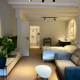 Studio for rent for €1,899 per month in Hamburg, Schwanenwik