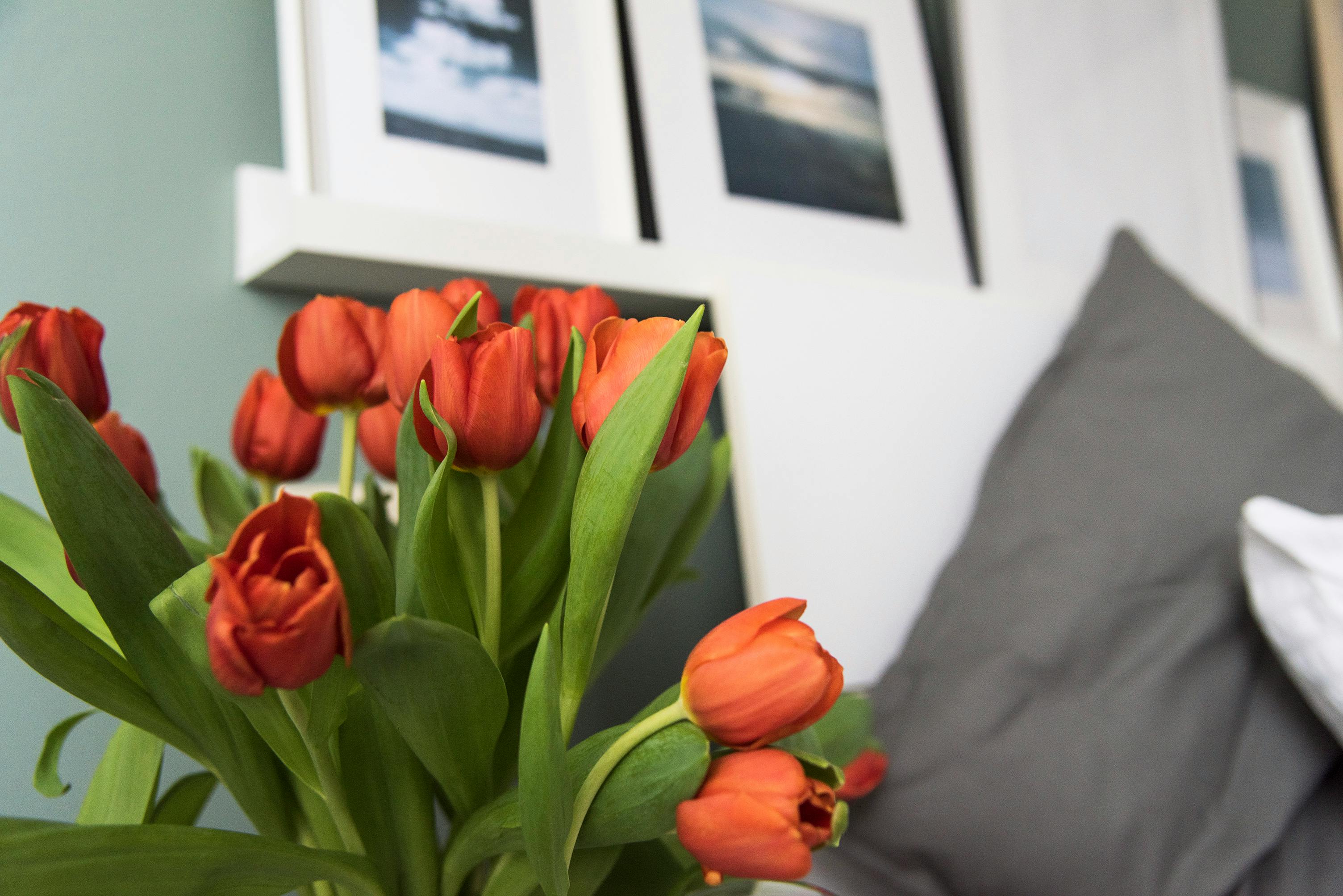 Apartamento Milano — foto 38