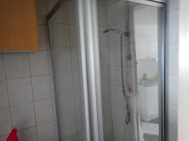 1-Bedroom Apartment in Rue Gray, Ixelles (998901) room image 14