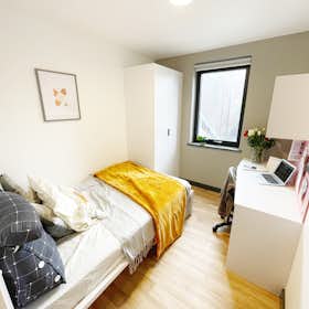 Chambre privée for rent for 608 € per month in Sheffield, Bailey Street