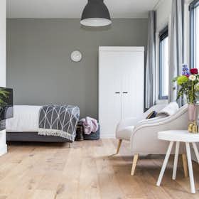单间公寓 正在以 €3,500 的月租出租，其位于 Utrecht, Amsterdamsestraatweg