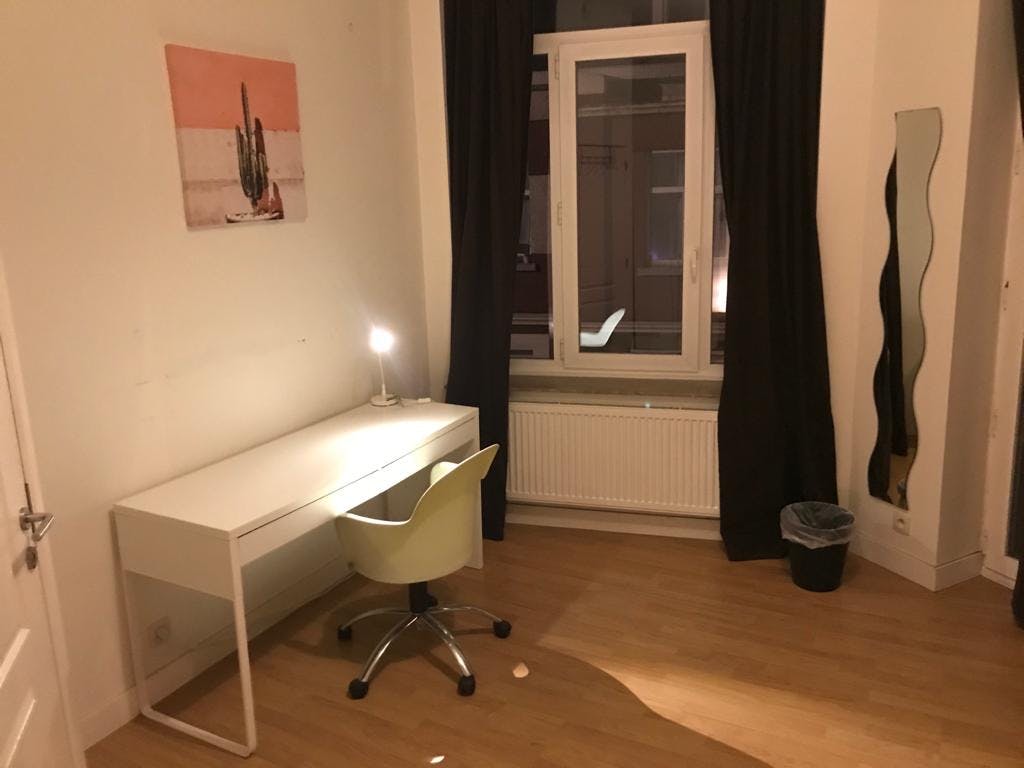 Private room in Rue de Theux, Ixelles (1002188) ROOM 1