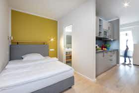 单间公寓 正在以 €1,540 的月租出租，其位于 Leipzig, Große Fleischergasse