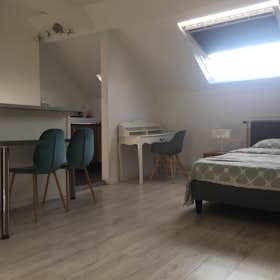 Studio para alugar por € 790 por mês em Ixelles, Rue du Trône