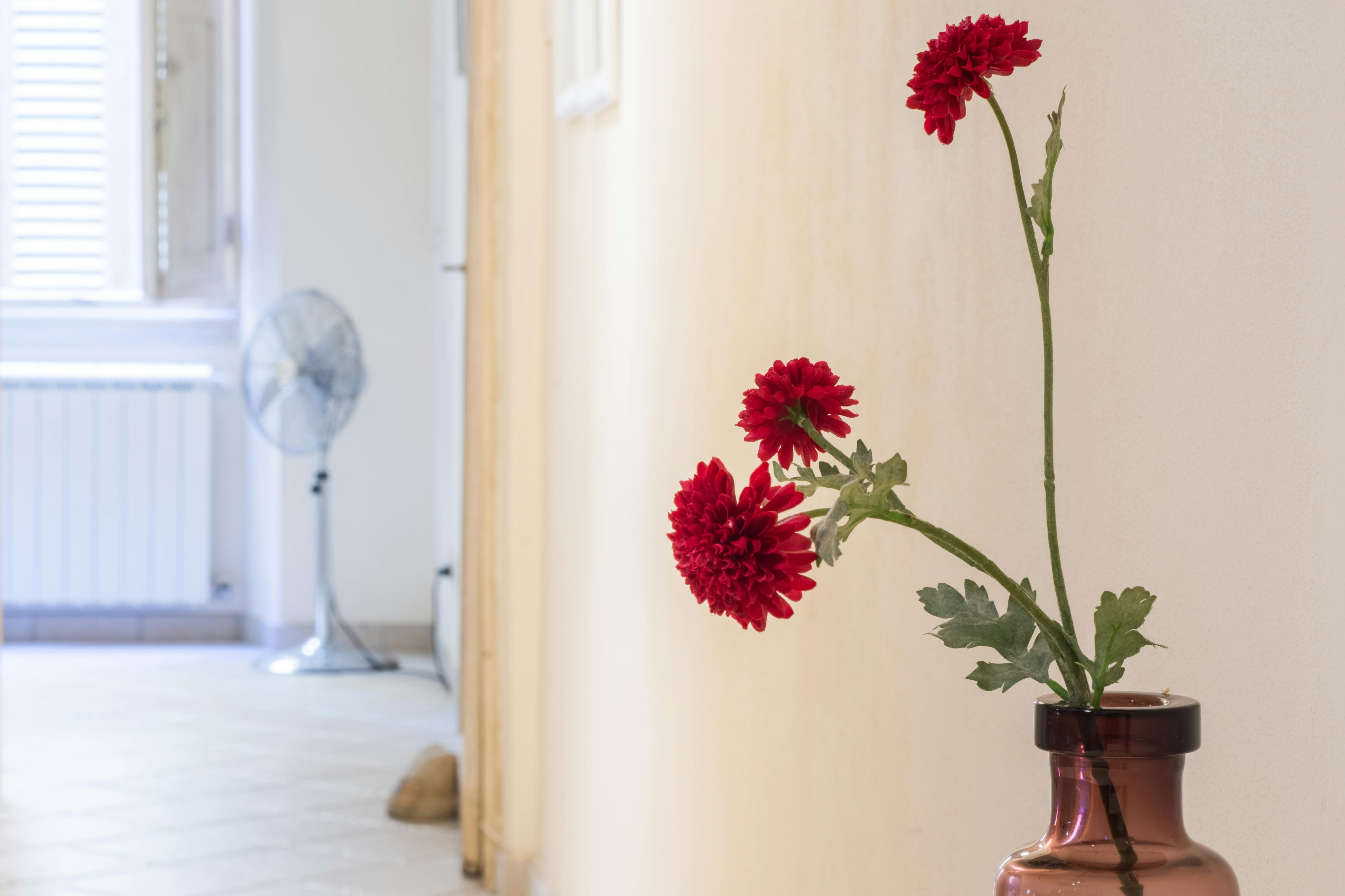 Appartamento Firenze — foto 17