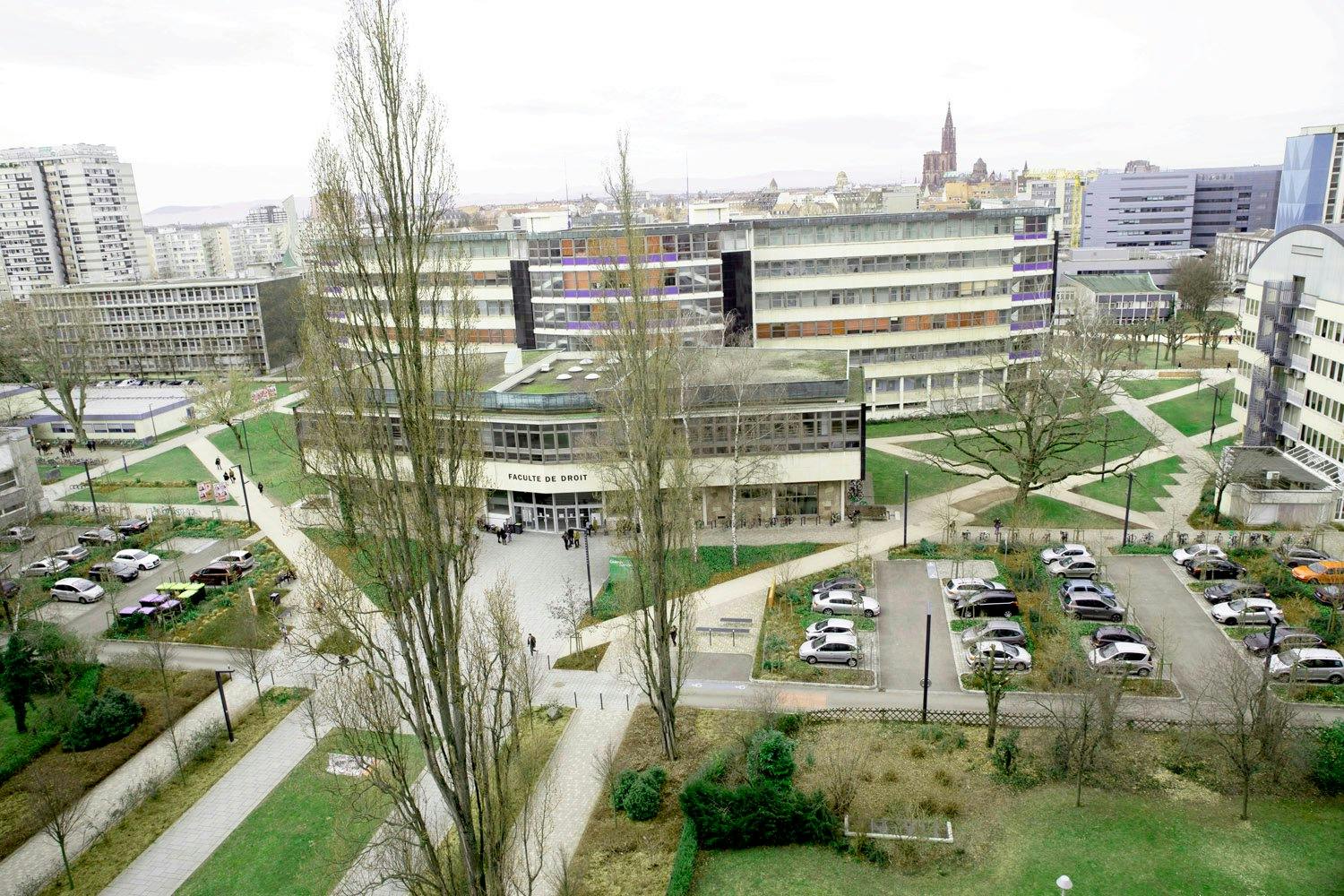 Apartment Strasbourg, 90m² — photo 7