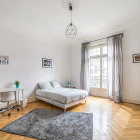 Private room for rent for €610 per month in Strasbourg, Boulevard Clemenceau