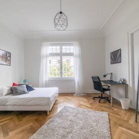 Private room for rent for €640 per month in Strasbourg, Boulevard Clemenceau