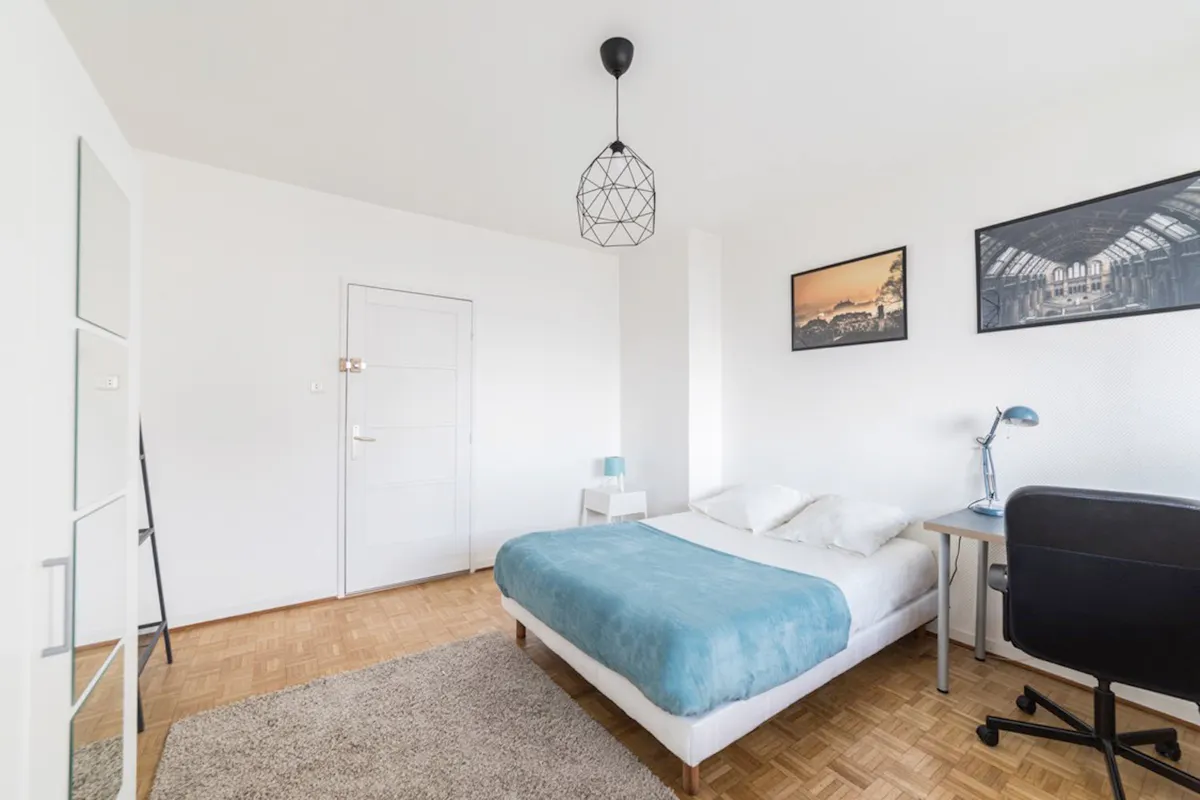 Private room in Rue d'Upsal, Strasbourg (1010377) ROOM