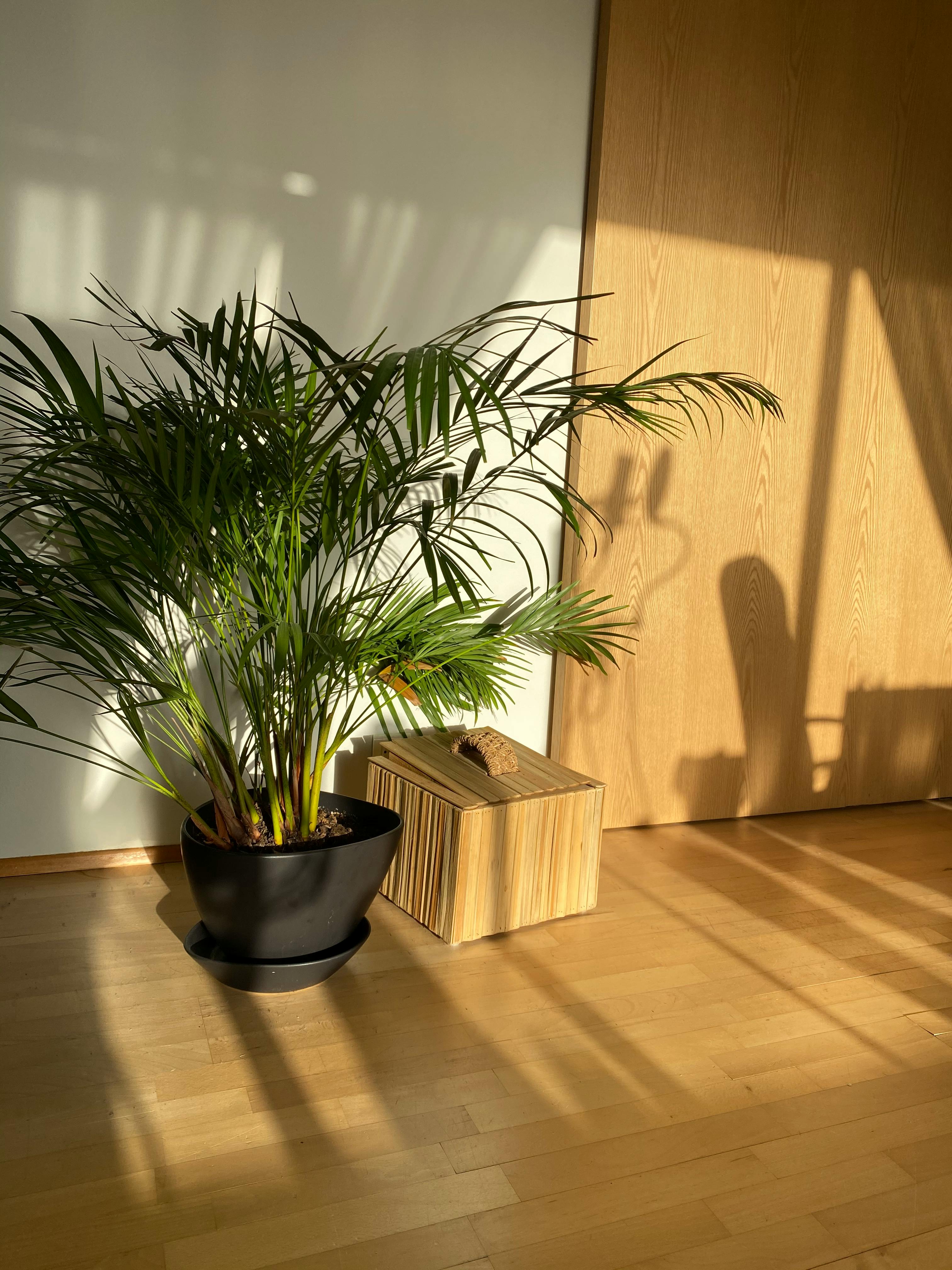 Eskihlíð, Reykjavík preview