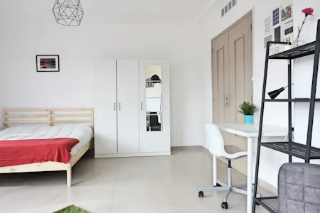 Private room for rent on Rue Antoine Pons, Marseille