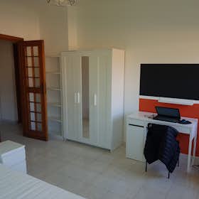Private room for rent for €550 per month in Pisa, Piazza Giuseppe Toniolo