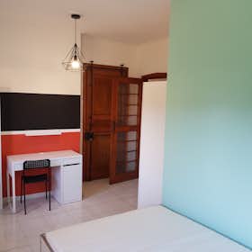 Private room for rent for €530 per month in Pisa, Piazza Giuseppe Toniolo