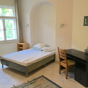 Private room for rent for HUF 118,252 per month in Budapest, Pacsirtamező utca